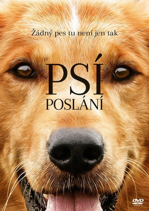 Plakát filmu Psí poslání