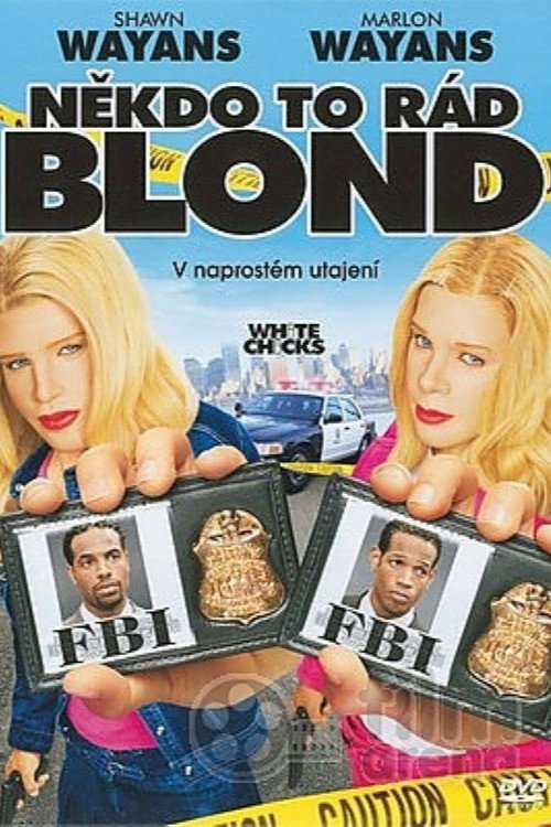 Plakát filmu Někdo to rád blond