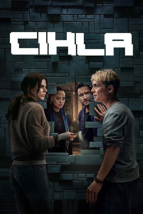 Plakát filmu Cihla