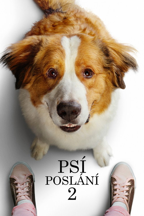 Plakát filmu Psí poslání 2