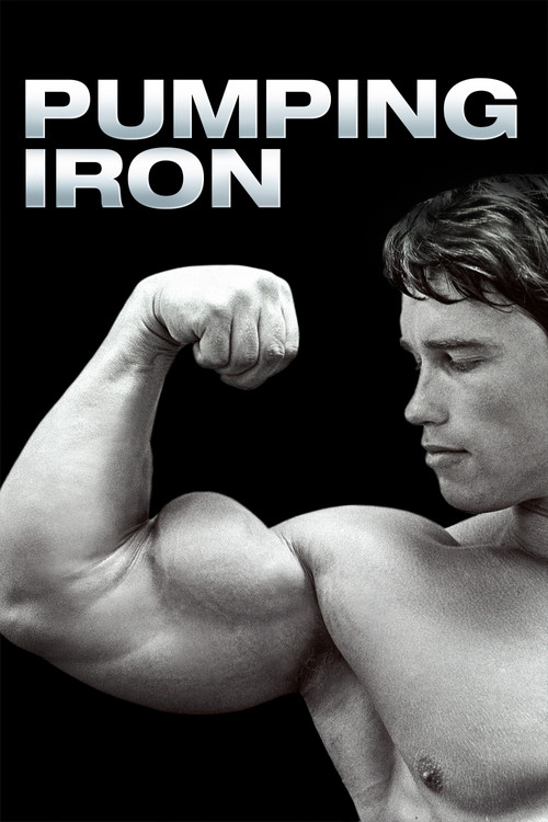 Plakát filmu Železný Schwarzenegger