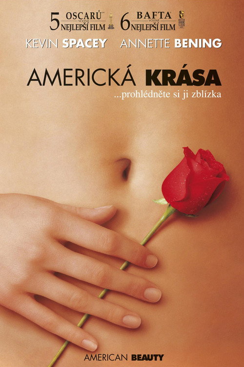Plakát filmu Americká krása