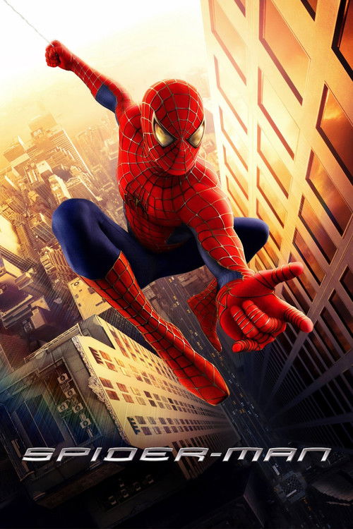 Plakát filmu Spider-Man