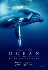 ocean2025