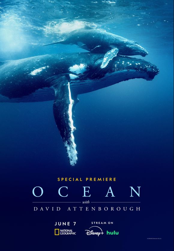 ocean2025