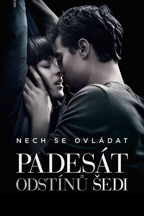 Plakát filmu Padesát odstínů šedi