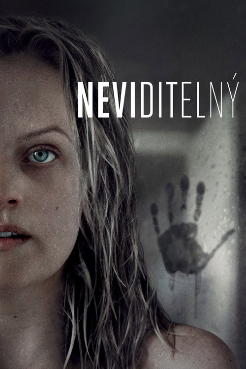 Plakát filmu Neviditelný