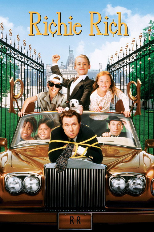 Sám doma a bohatý (1994)