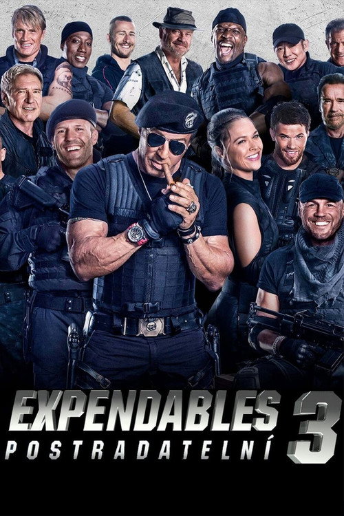 Expendables: Postradatelní 3 (2014)