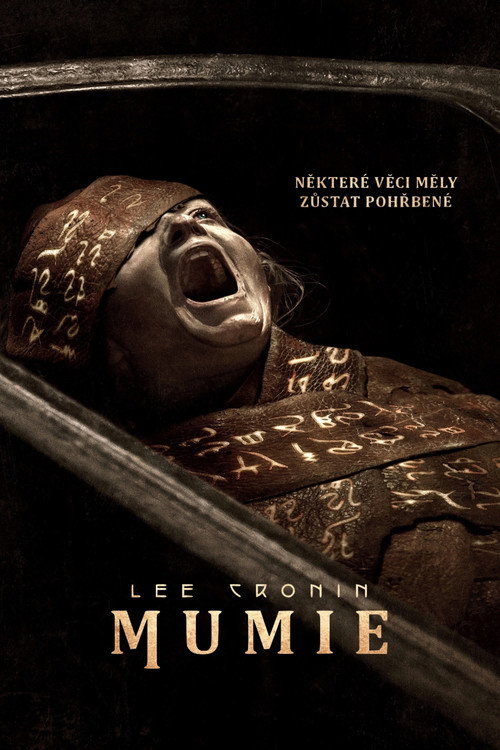 Plakát filmu Lee Cronin: Mumie