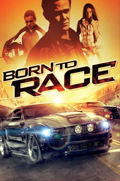 Plakát filmu Rychlý a zběsilý