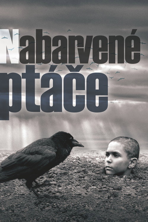Nabarvené ptáče (2019)