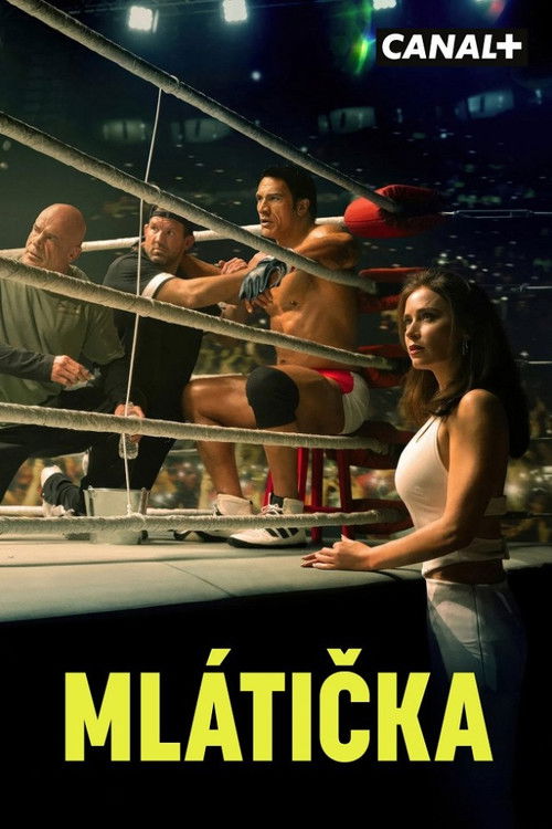 Plakát filmu Mlátička