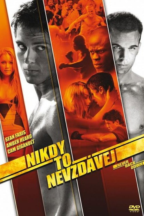 Nikdy to nevzdávej (2008)