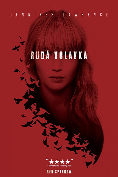 Plakát filmu Rudá volavka