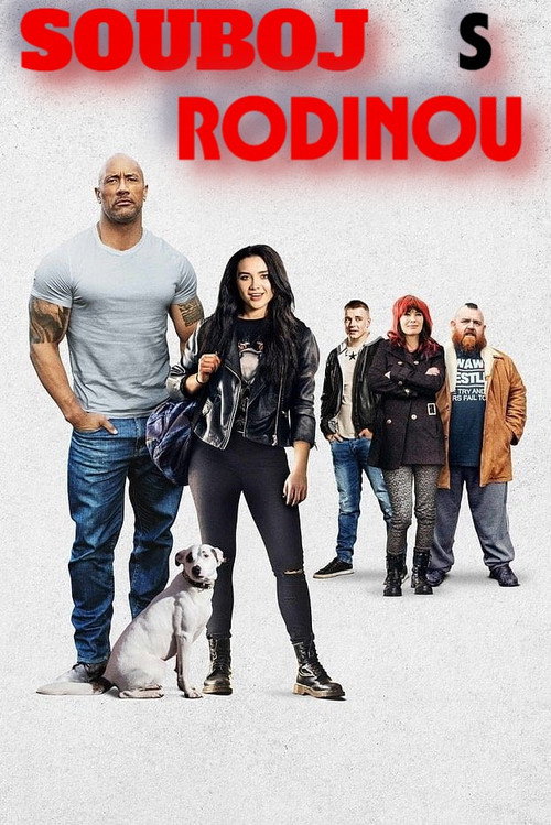 Plakát filmu Souboj s rodinou