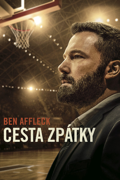 Cesta zpátky (2020)
