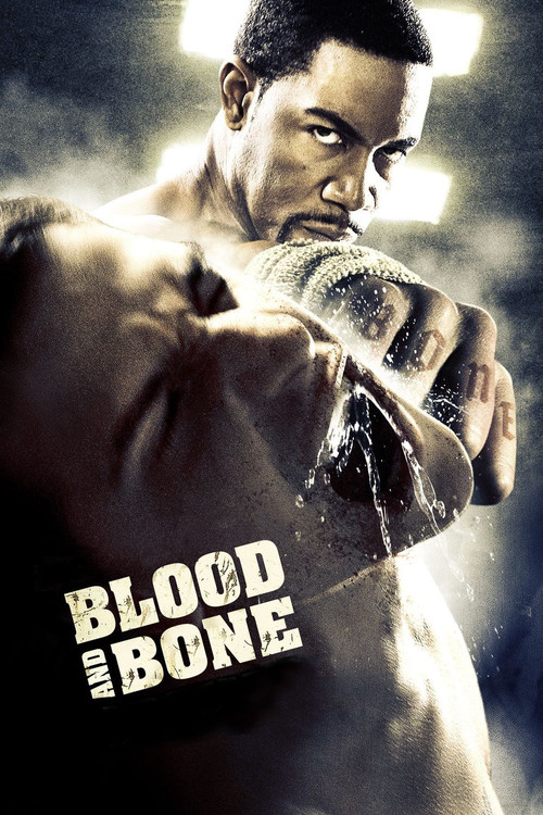 Plakát filmu Blood and Bone
