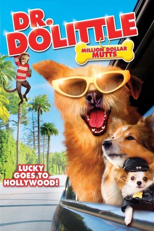 Plakát filmu Dr. Dolittle 5: Lucky jede do Hollywoodu