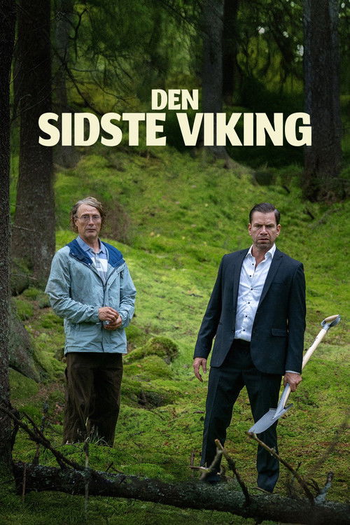 Plakát filmu Poslední Viking