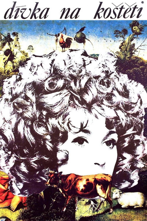 Dívka na koštěti (1972)