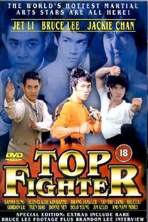 Plakát filmu Top Fighter