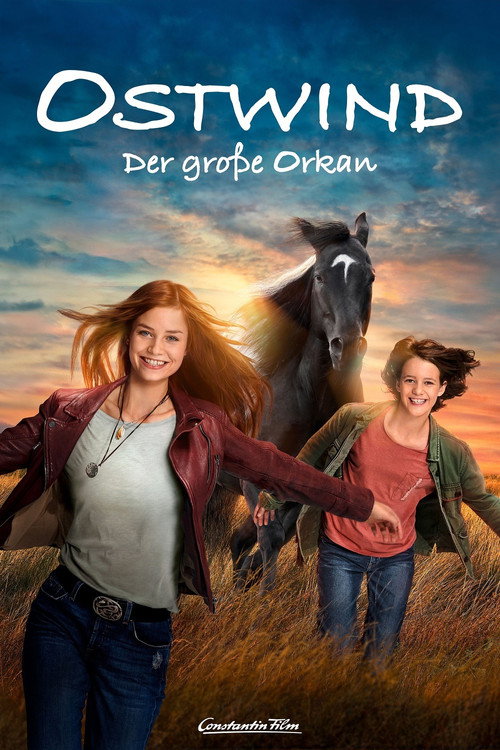 Plakát filmu Rychlý jako vítr 5 - Velký Hurikán