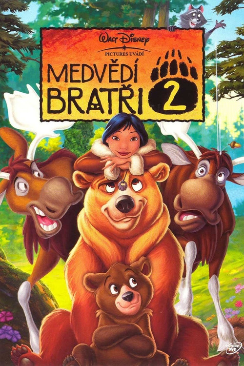 Plakát filmu Medvědí bratři 2
