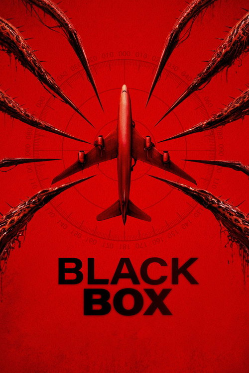 Plakát filmu Black Box