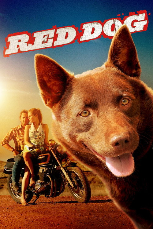 Plakát filmu Red Dog - psí legenda