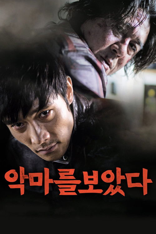 Viděl jsem ďábla (2010)