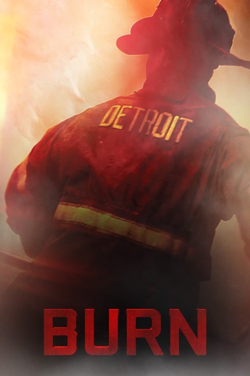 Plakát filmu Detroit v plamenech