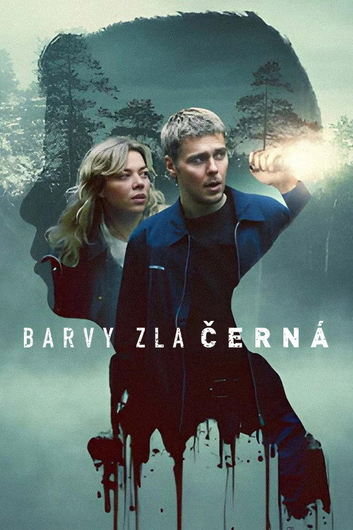 Plakát filmu Barvy zla: Černá