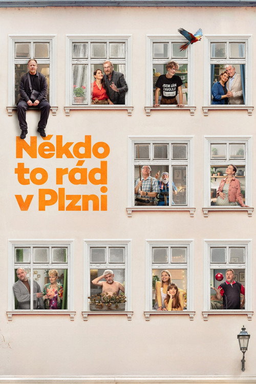 Plakát filmu Někdo to rád v Plzni