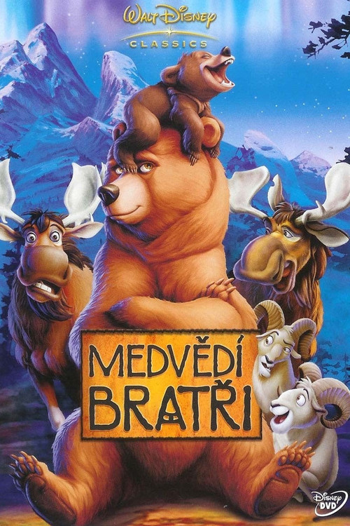 Plakát filmu Medvědí bratři