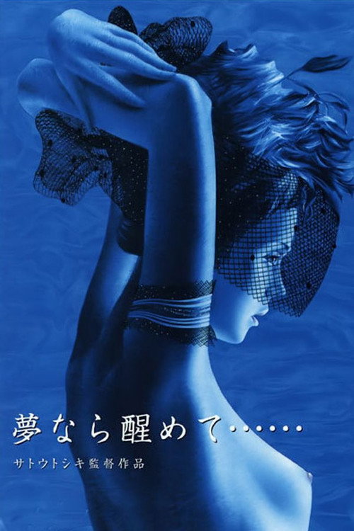 Plakát filmu Perfect Blue