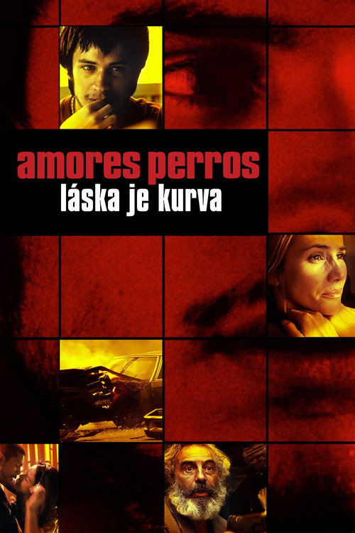 Plakát filmu Amores perros – Láska je kurva