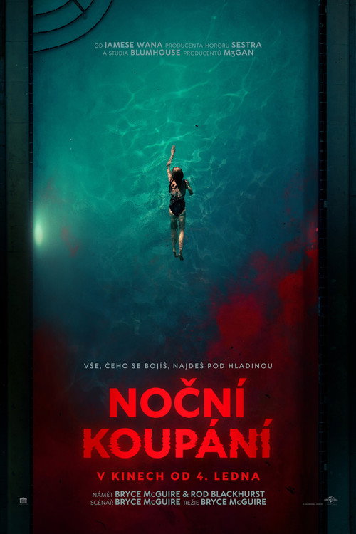 Plakát filmu Noční koupání