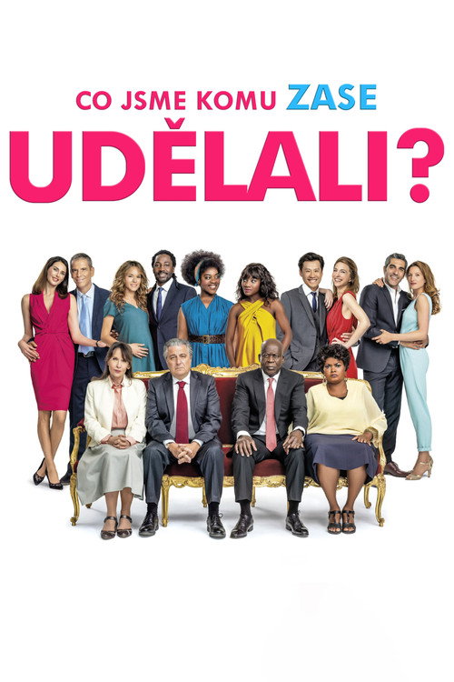 Plakát filmu Co jsme komu zase udělali?