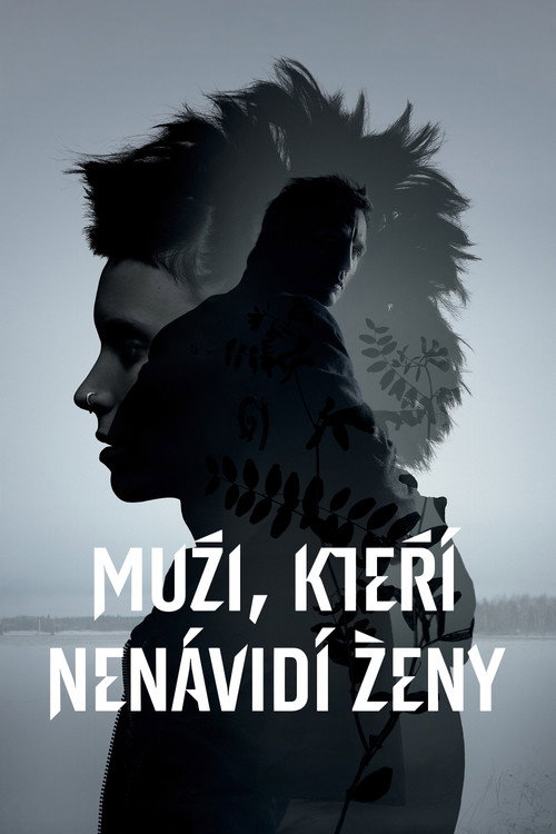 Plakát filmu Muži, kteří nenávidí ženy