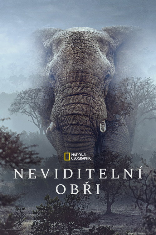 Plakát filmu Neviditelní obři