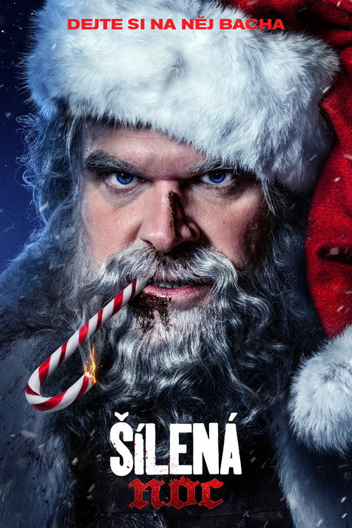 Plakát filmu Šílená noc