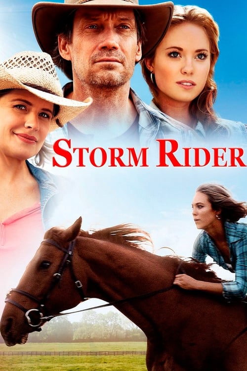 Plakát filmu Storm Rider