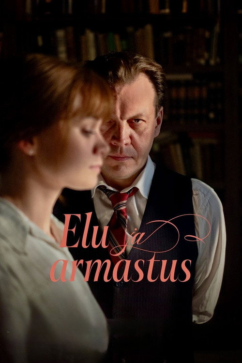 Plakát filmu Život a láska