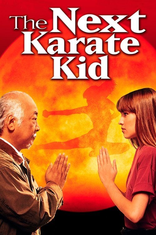 Plakát filmu Nový Karate Kid
