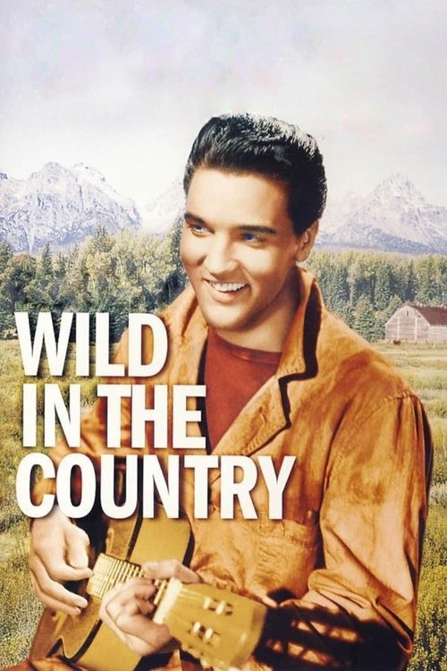 Plakát filmu Wild in the Country