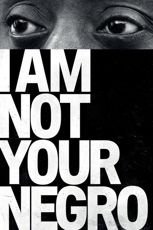 Plakát filmu I Am Not Your Negro
